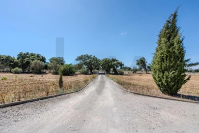 Moradia T2 para Venda em Palmela