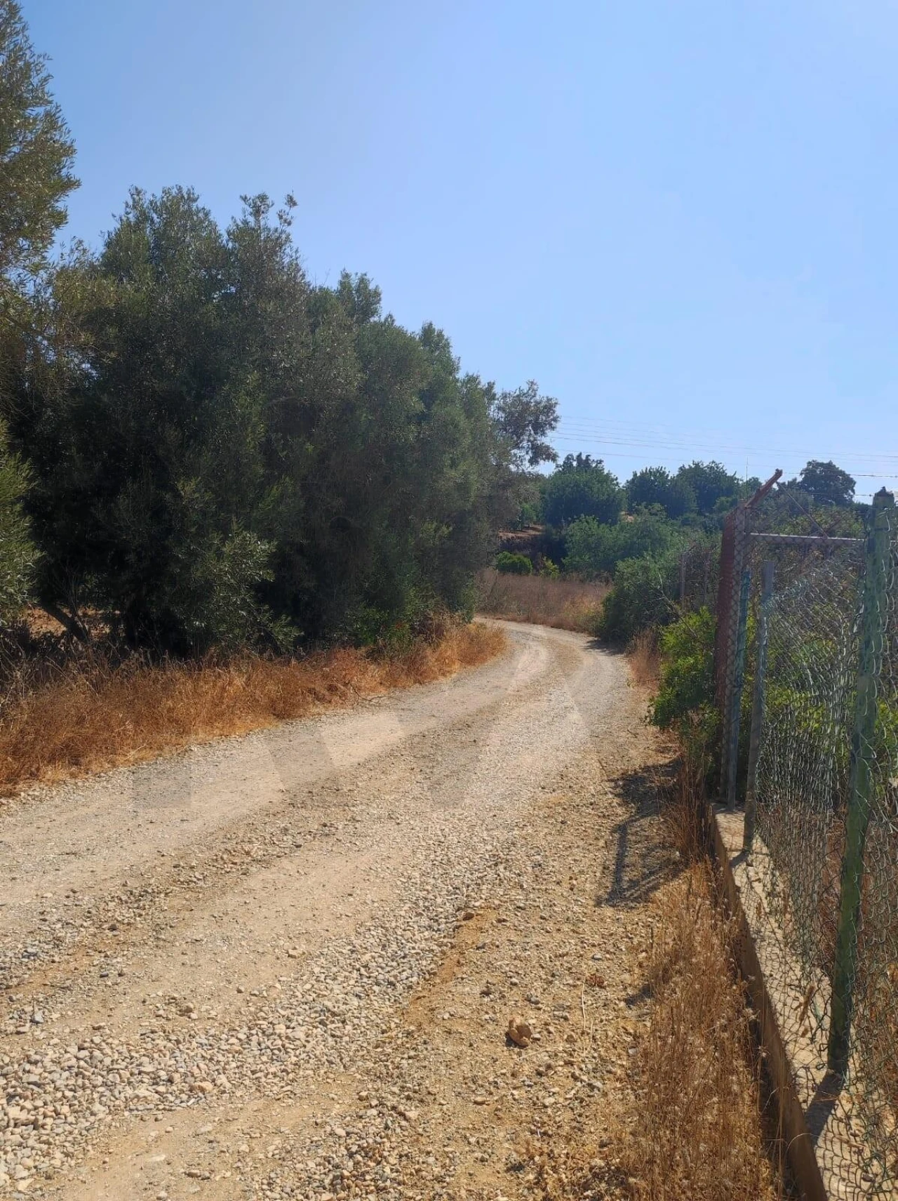 Terreno para Venda em Olhão Foto 3