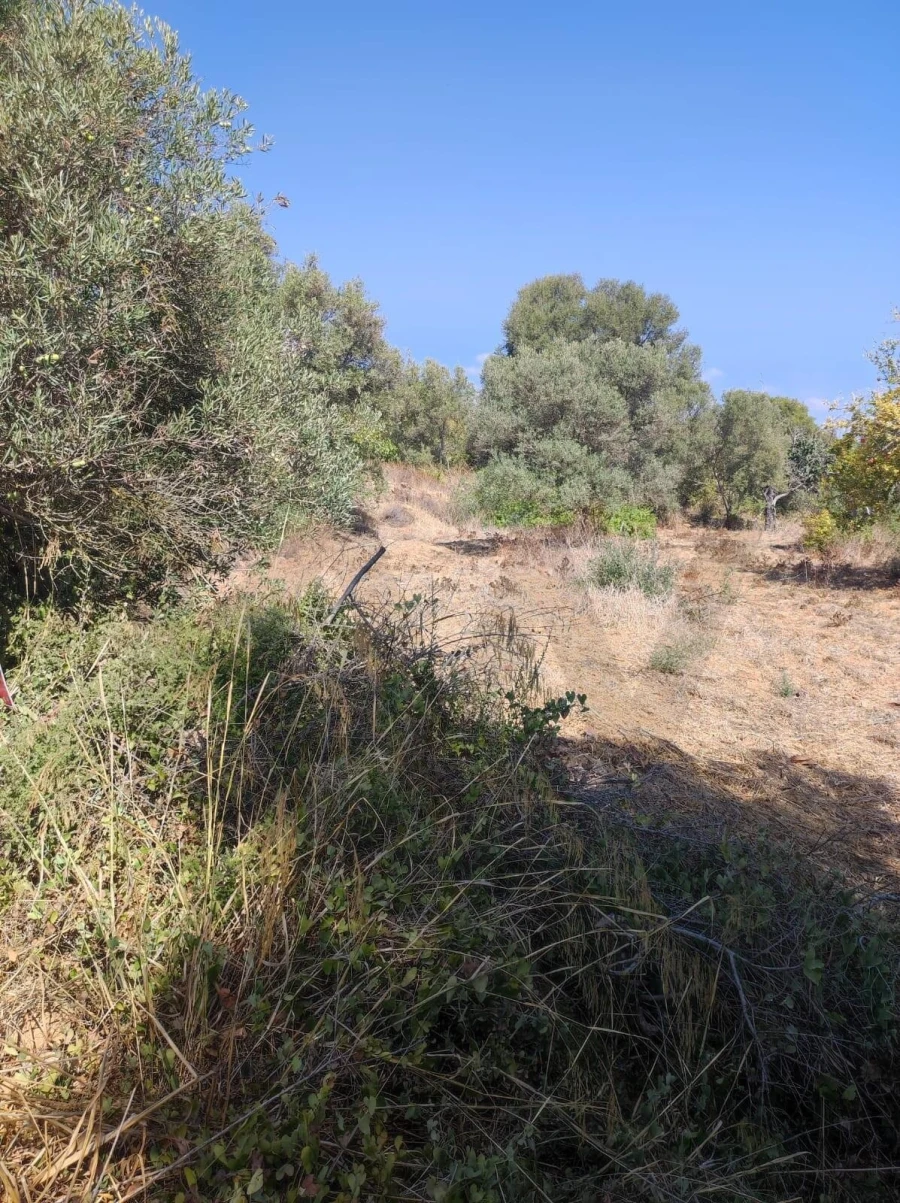 Terreno para Venda em Olhão Foto 5