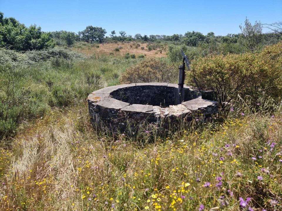 Terreno para Venda em Santiago do Cacém, Santa Cruz e São Bartolomeu da Serra Foto 34