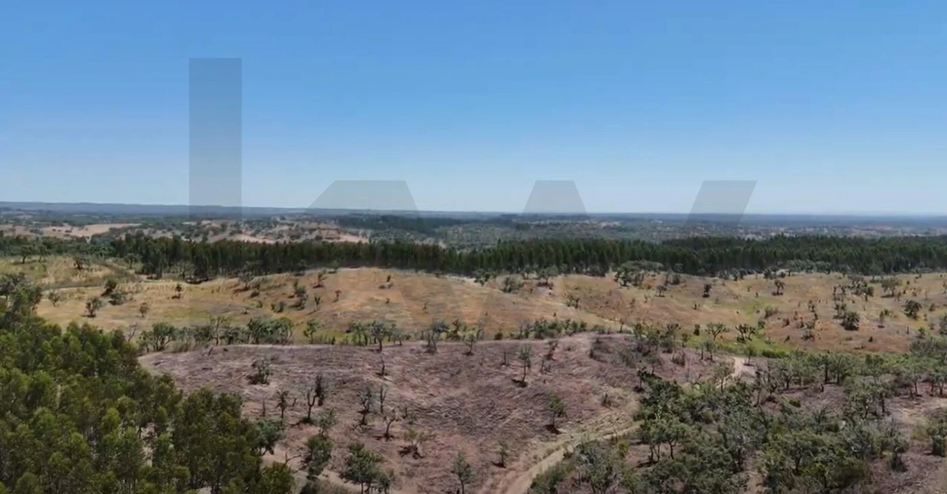 Terreno para Venda em Santiago do Cacém, Santa Cruz e São Bartolomeu da Serra Foto 22