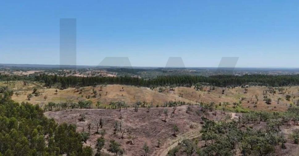 Terreno para Venda em Santiago do Cacém, Santa Cruz e São Bartolomeu da Serra Foto 22