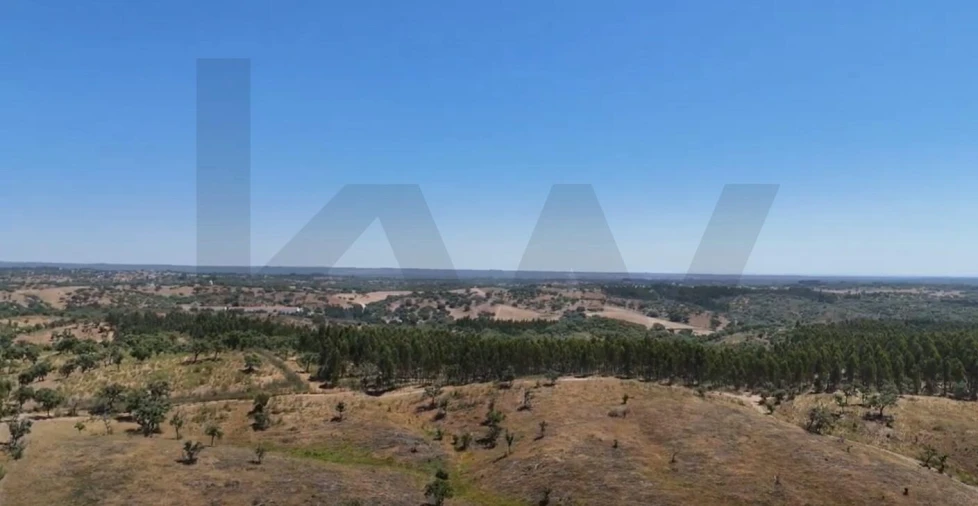 Terreno para Venda em Santiago do Cacém, Santa Cruz e São Bartolomeu da Serra Foto 27
