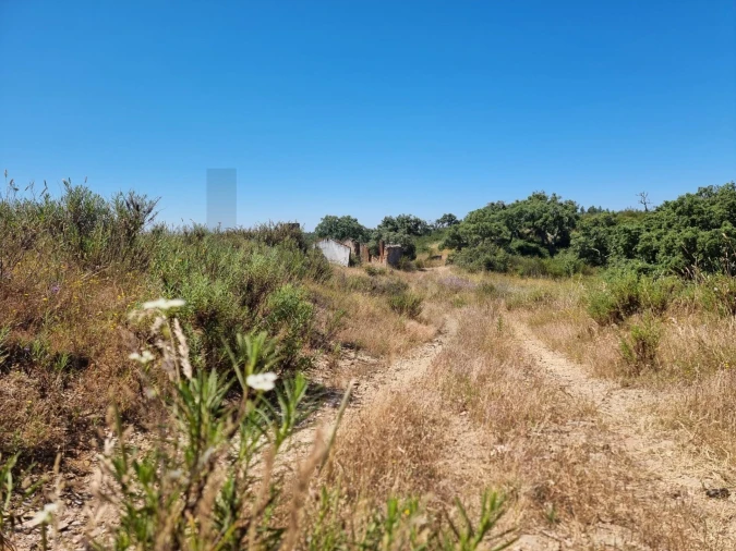 Terreno para Venda em Santiago do Cacém, Santa Cruz e São Bartolomeu da Serra Foto 8