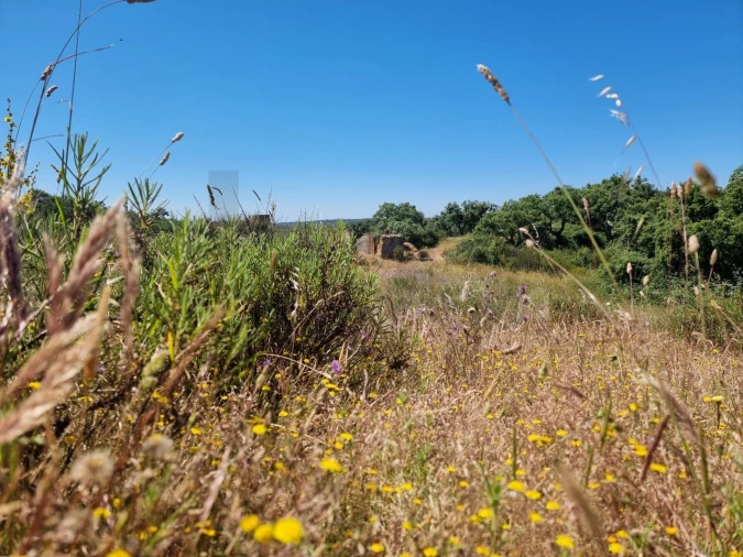 Terreno para Venda em Santiago do Cacém, Santa Cruz e São Bartolomeu da Serra Foto 6