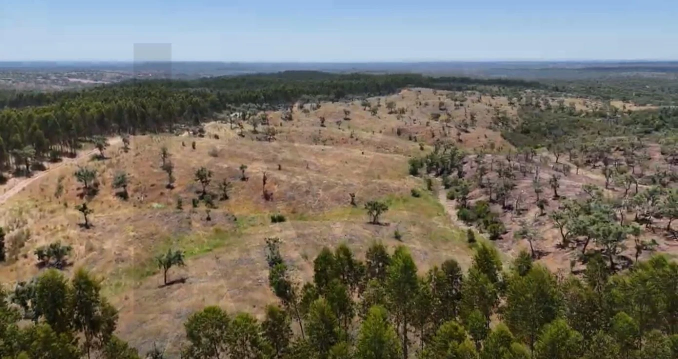 Terreno para Venda em Santiago do Cacém, Santa Cruz e São Bartolomeu da Serra Foto 23