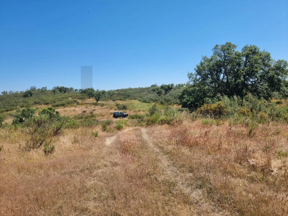 Terreno para Venda em Santiago do Cacém, Santa Cruz e São Bartolomeu da Serra Foto 10