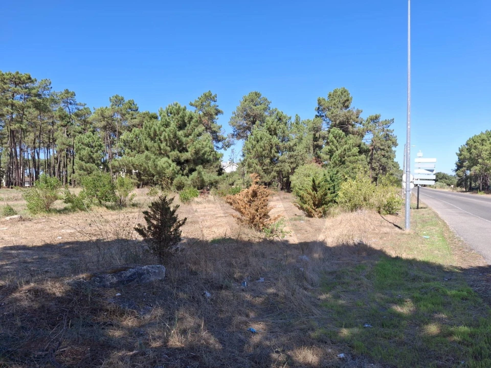 Terreno para Venda em Azeitão (São Lourenço e São Simão) Foto 2
