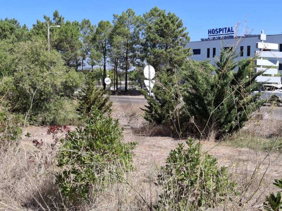 Terreno para Venda em Azeitão (São Lourenço e São Simão) Foto 6