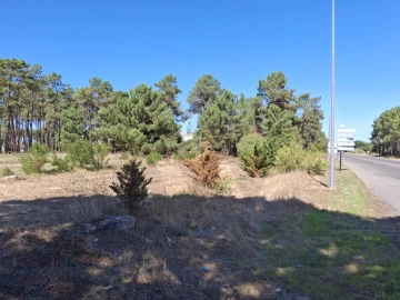 Terreno para Venda em Azeitão (São Lourenço e São Simão)