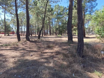 Terreno para Venda em Azeitão (São Lourenço e São Simão)