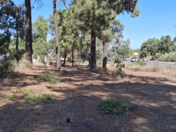 Terreno para Venda em Azeitão (São Lourenço e São Simão)