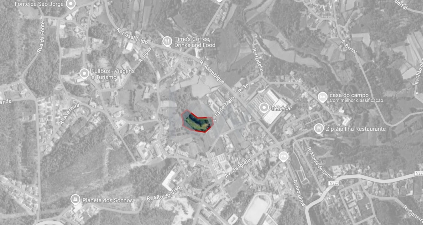 Terreno para Venda em Caldas de São Jorge e Pigeiros Foto 3