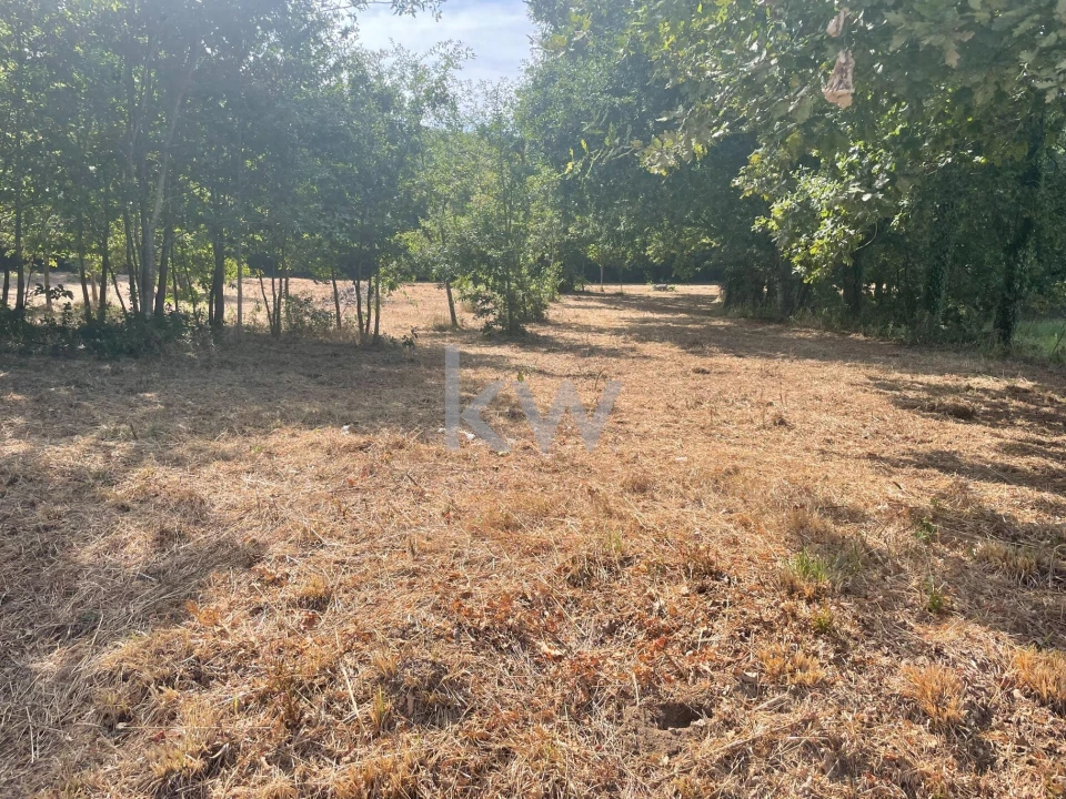 Terreno para Venda em Caldas de São Jorge e Pigeiros Foto 8