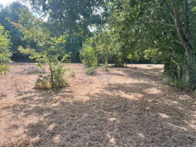 Terreno para Venda em Caldas de São Jorge e Pigeiros Foto 5