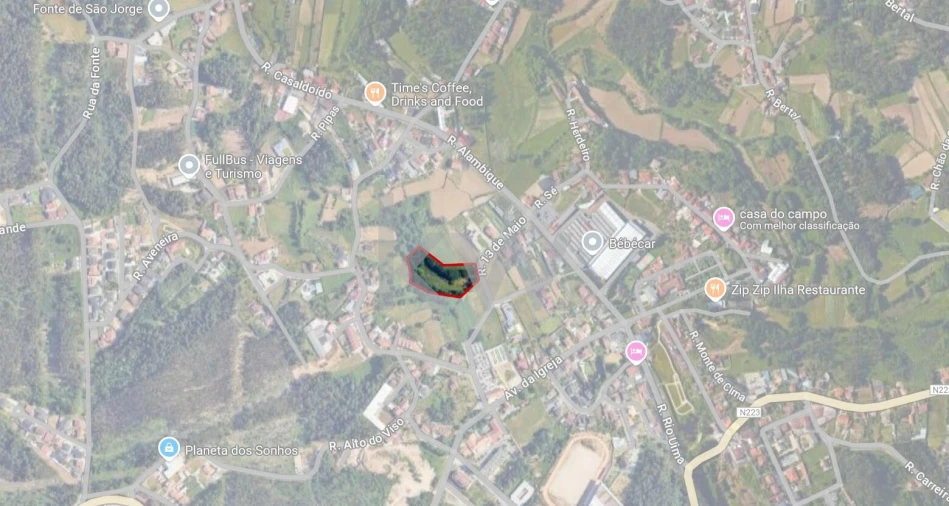 Terreno para Venda em Caldas de São Jorge e Pigeiros Foto 7