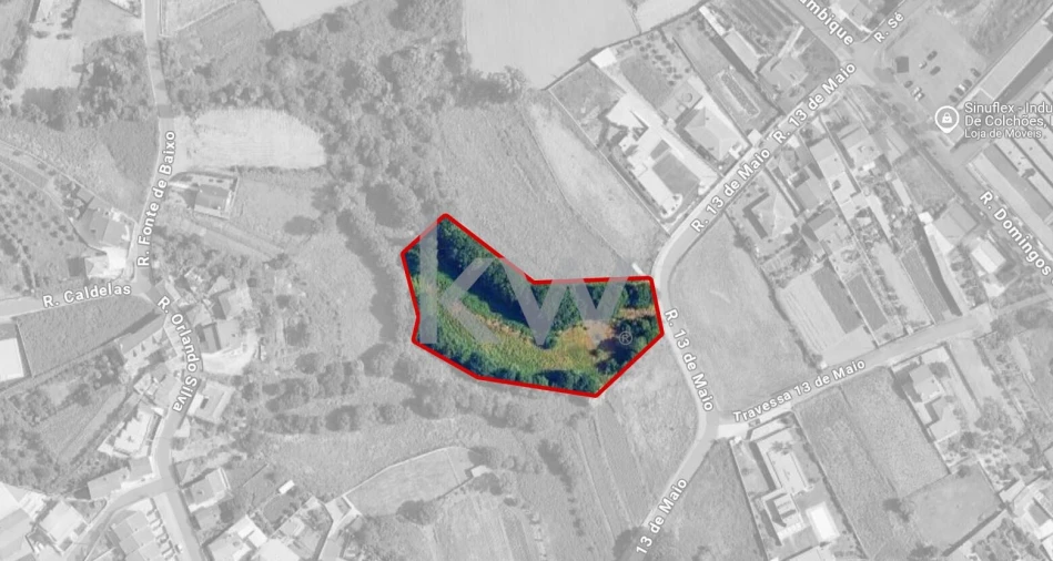 Terreno para Venda em Caldas de São Jorge e Pigeiros Foto 13