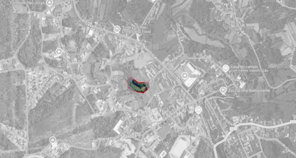 Terreno para Venda em Caldas de São Jorge e Pigeiros Foto 3