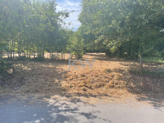 Terreno para Venda em Caldas de São Jorge e Pigeiros Foto 4