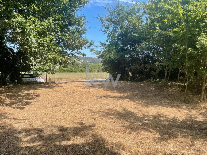 Terreno para Venda em Caldas de São Jorge e Pigeiros Foto 2