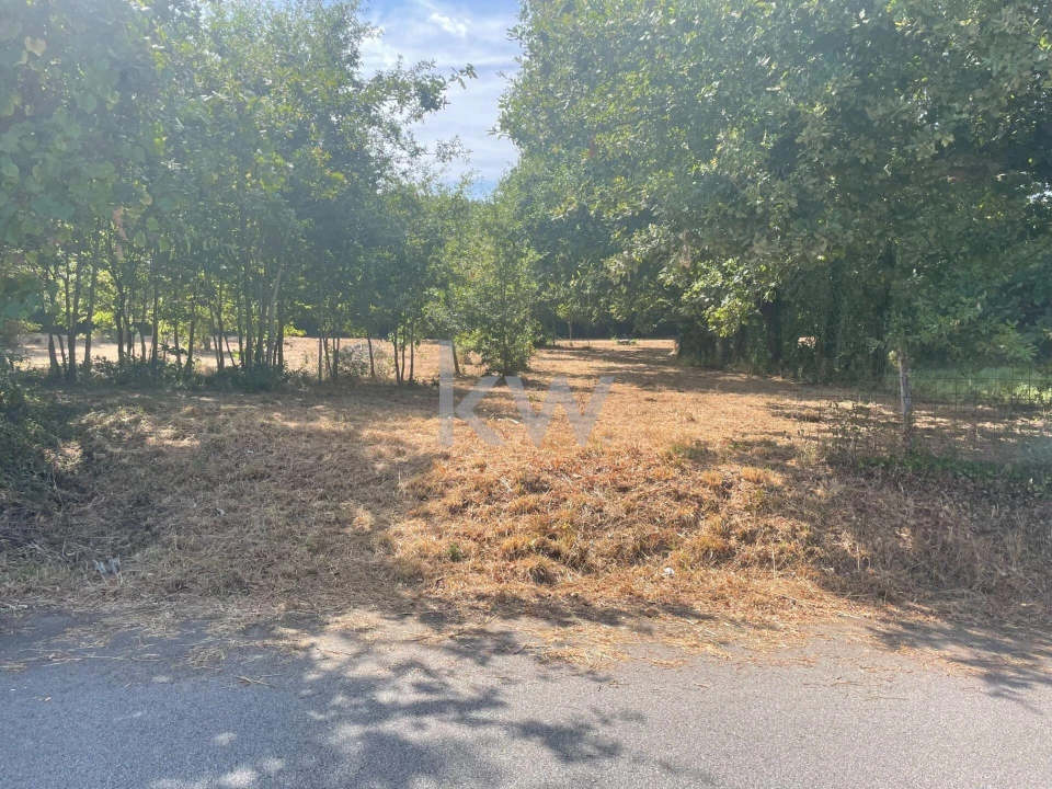 Terreno para Venda em Caldas de São Jorge e Pigeiros Foto 4