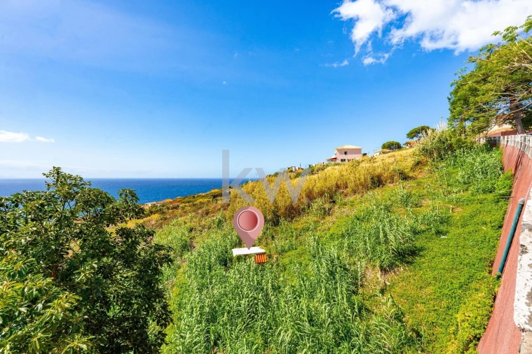 Terreno para Venda em Gaula Foto 2