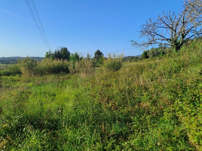 Moradia T3 para Venda em Souselas e Botão Foto 32