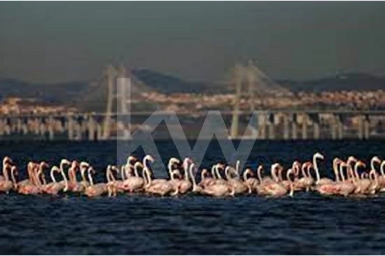 Moradia T4 para Venda em Alcochete Foto 37