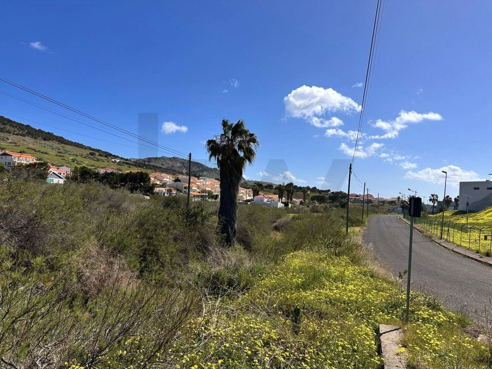 Terreno para Venda em Porto Santo Foto 9