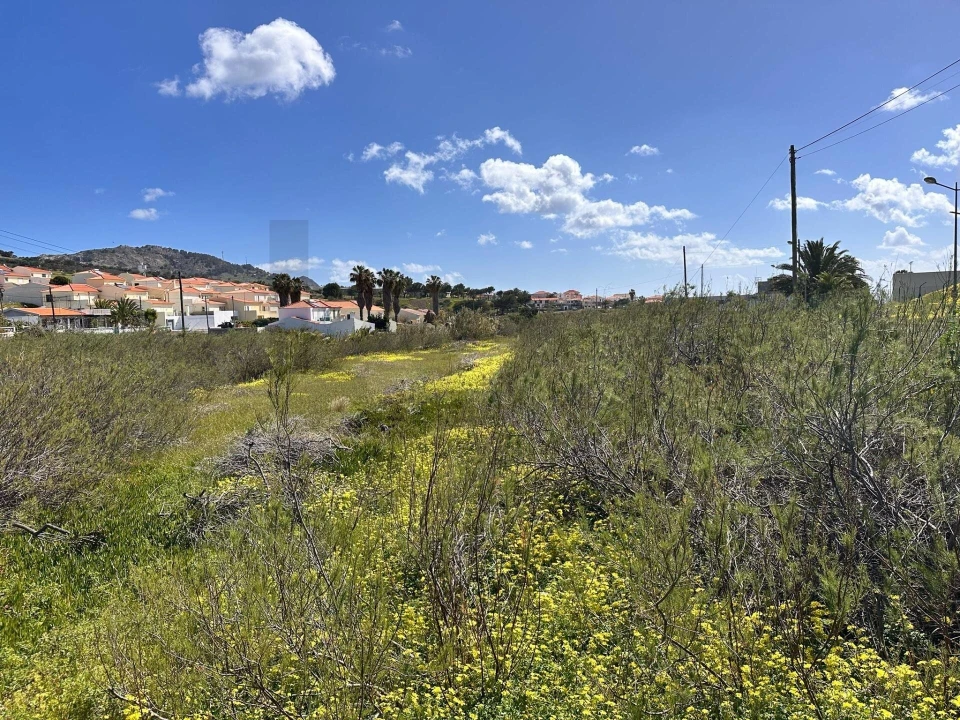 Terreno para Venda em Porto Santo Foto 15