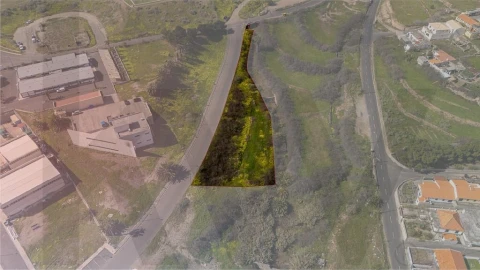 Terreno para Venda em Porto Santo