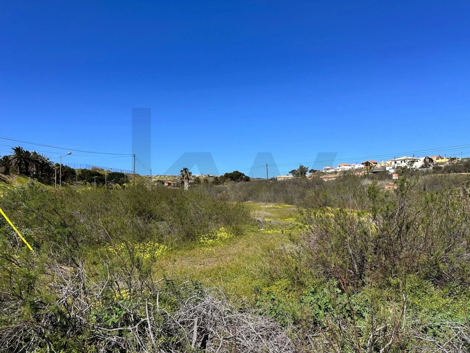 Terreno para Venda em Porto Santo Foto 1