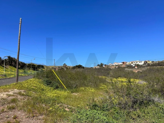 Terreno para Venda em Porto Santo Foto 13