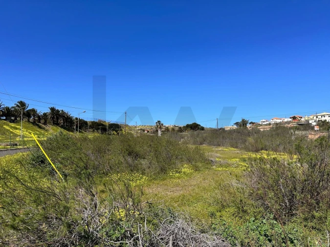 Terreno para Venda em Porto Santo Foto 10