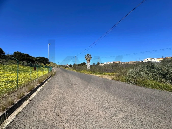 Terreno para Venda em Porto Santo Foto 16