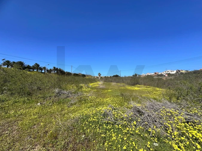 Terreno para Venda em Porto Santo Foto 14