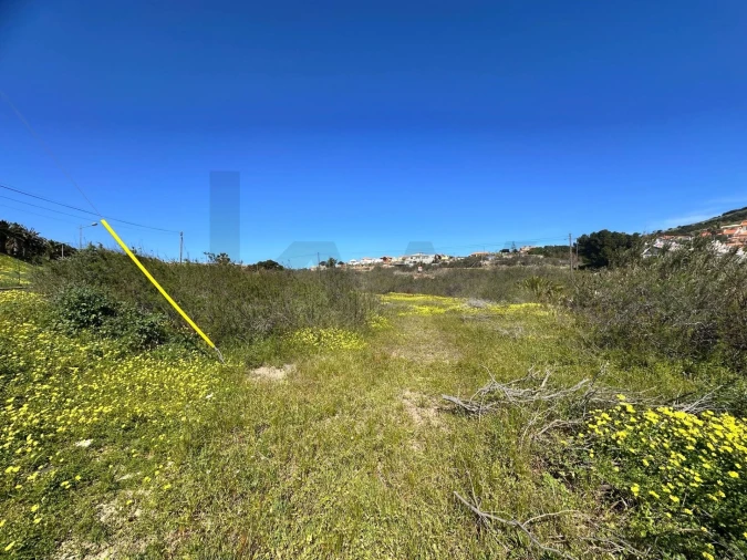 Terreno para Venda em Porto Santo Foto 2