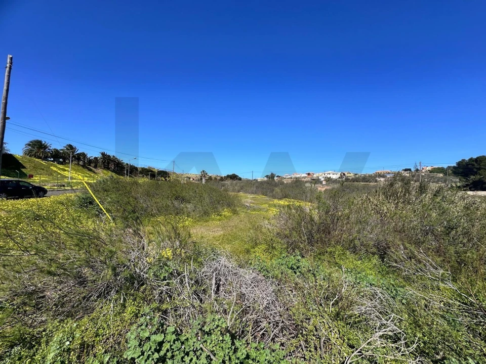 Terreno para Venda em Porto Santo Foto 17