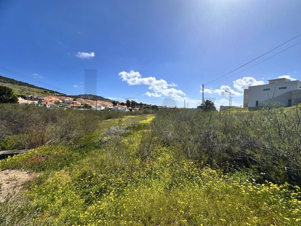 Terreno para Venda em Porto Santo Foto 11
