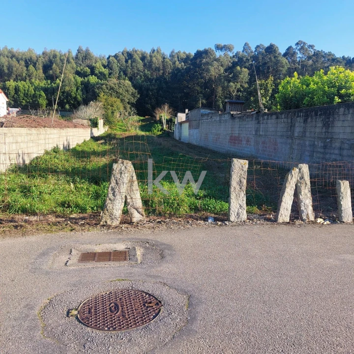 Terreno para Venda em Madalena Foto 5