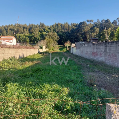 Terreno para Venda em Madalena Foto 6