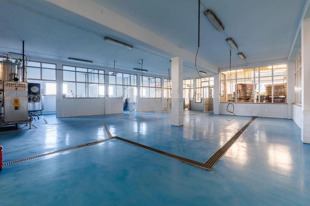 Armazém para Venda em Ílhavo (São Salvador) Foto 35