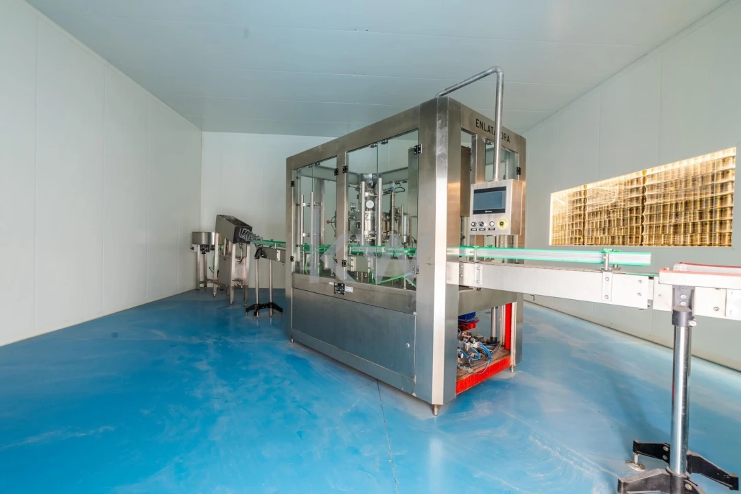 Armazém para Venda em Ílhavo (São Salvador) Foto 38