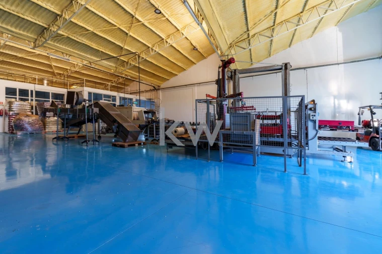 Armazém para Venda em Ílhavo (São Salvador) Foto 32