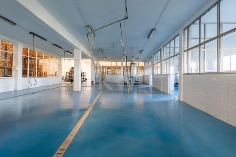 Armazém para Venda em Ílhavo (São Salvador) Foto 36