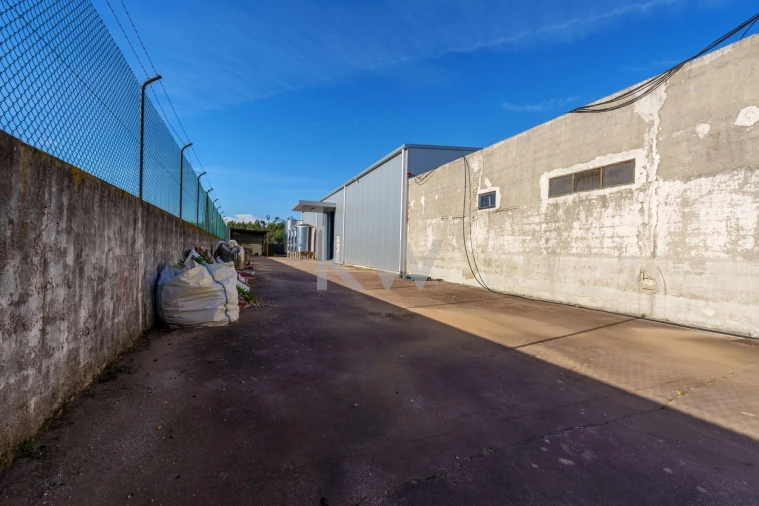 Armazém para Venda em Ílhavo (São Salvador) Foto 28