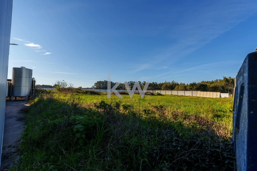 Armazém para Venda em Ílhavo (São Salvador) Foto 29