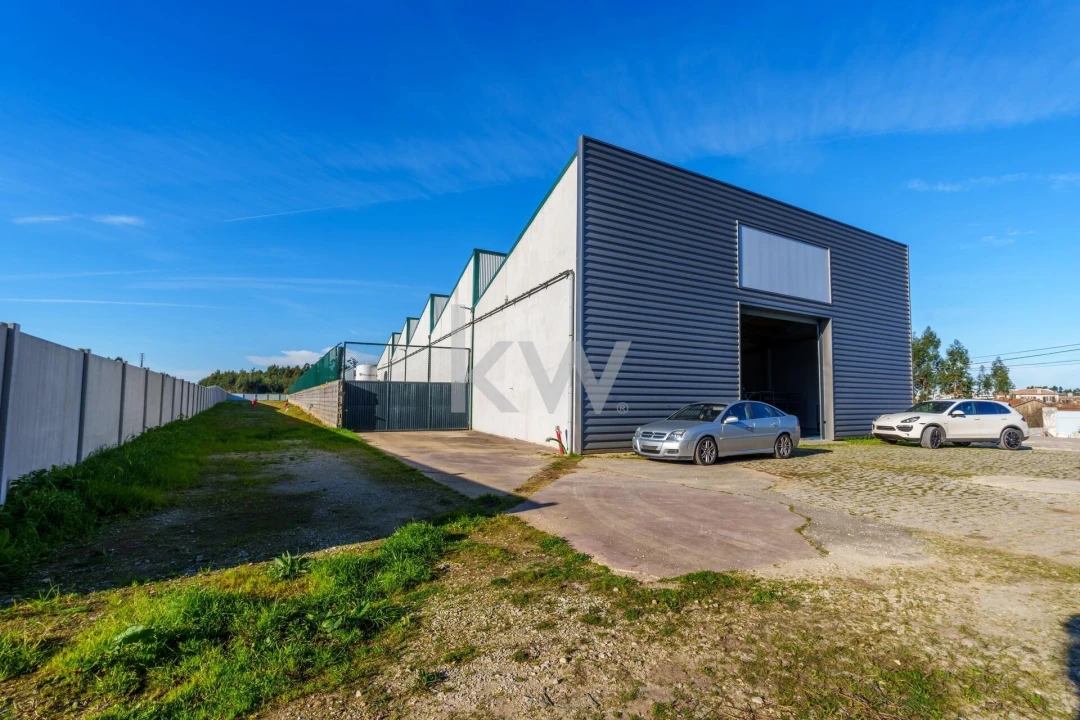 Armazém para Venda em Ílhavo (São Salvador) Foto 42