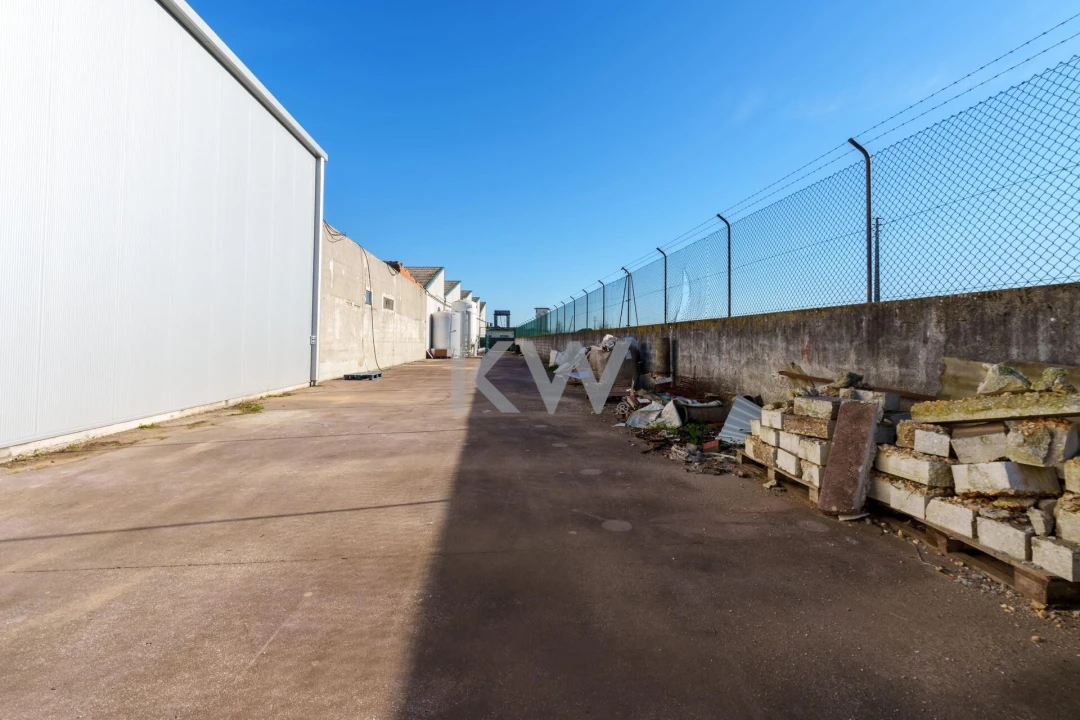 Armazém para Venda em Ílhavo (São Salvador) Foto 27