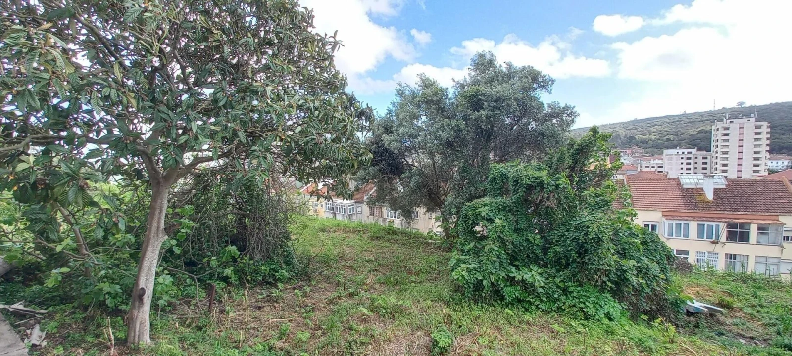 Moradia T1 para Venda em São Domingos de Benfica Foto 10